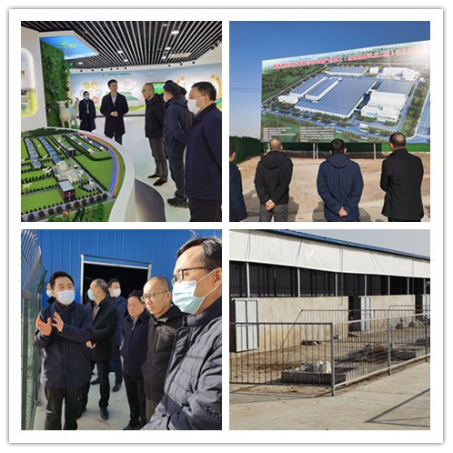 邱勇副院长一行赴富平县调研扶贫工作看望慰问扶贫干部和困难群众(图4)