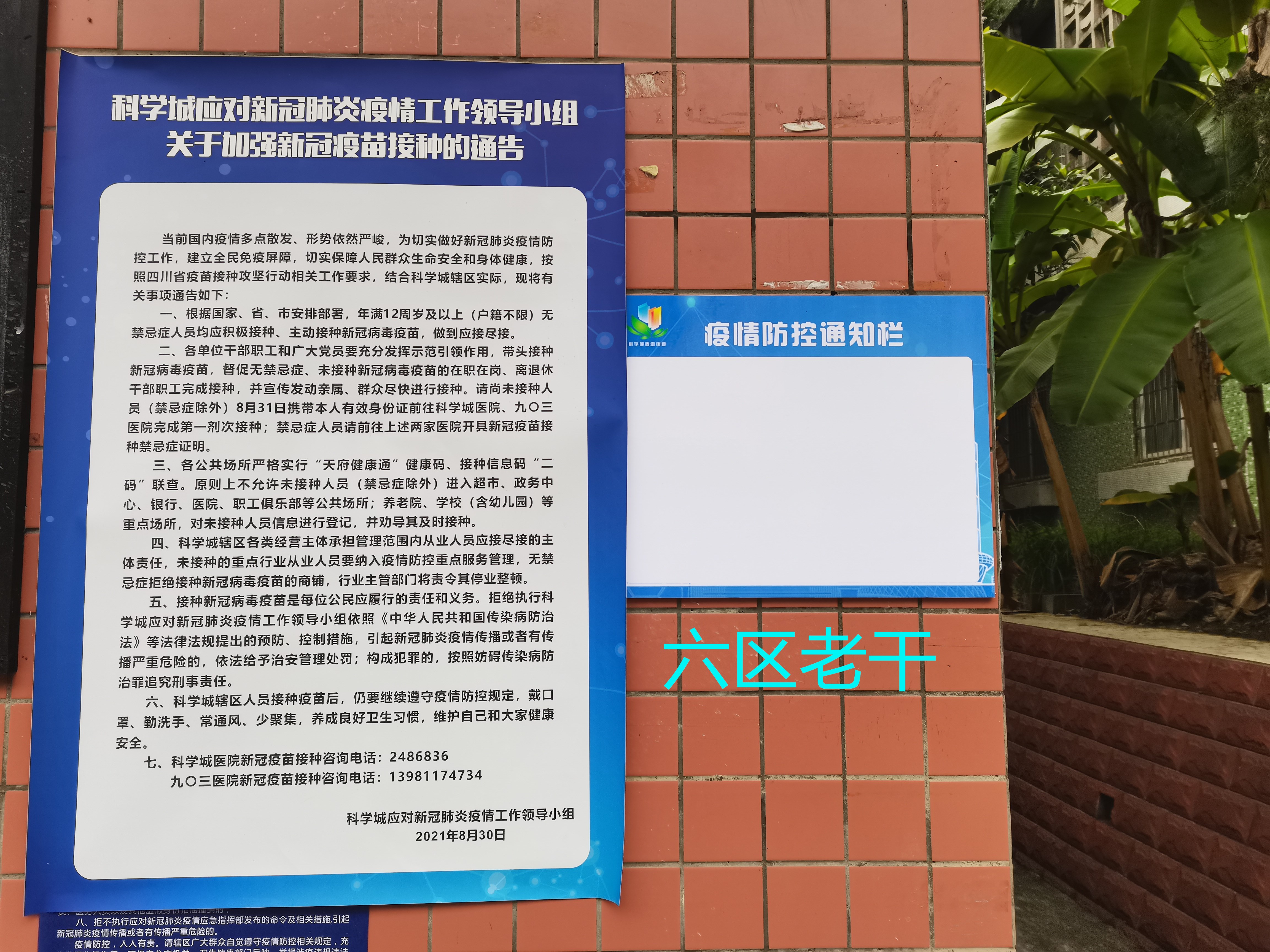 春雷街道工作动态（社区疫情防控工作专刊之二—2021年第二十二期）(图14)