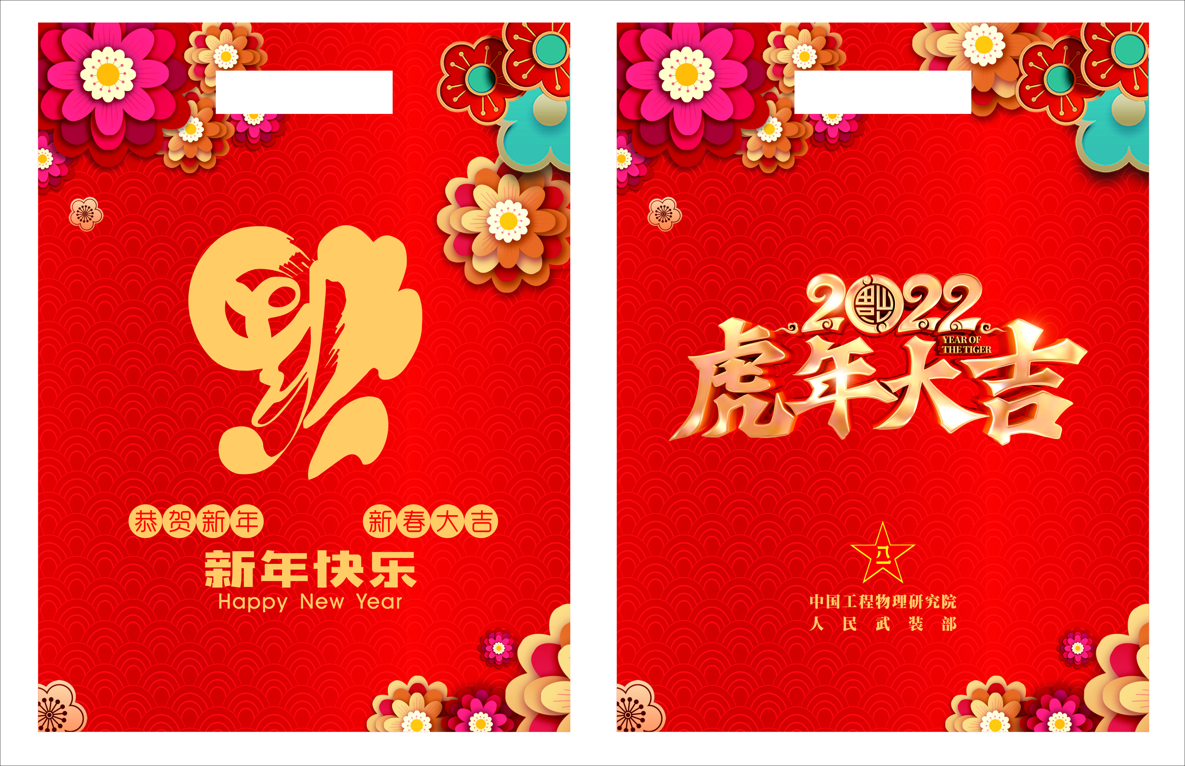 春节慰问优抚对象 亲切关怀传递真情(图1)