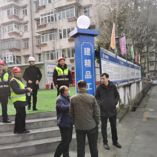 公管部副部长苗红波视察四区老旧小区改造工地(图1)