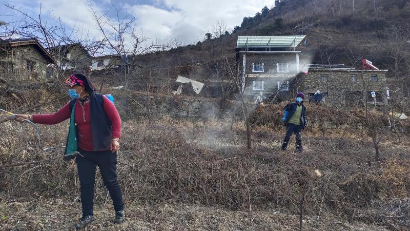 助力乡村振兴！ 九〇三医院开展康定市磨子沟村产业帮扶工作(图4)