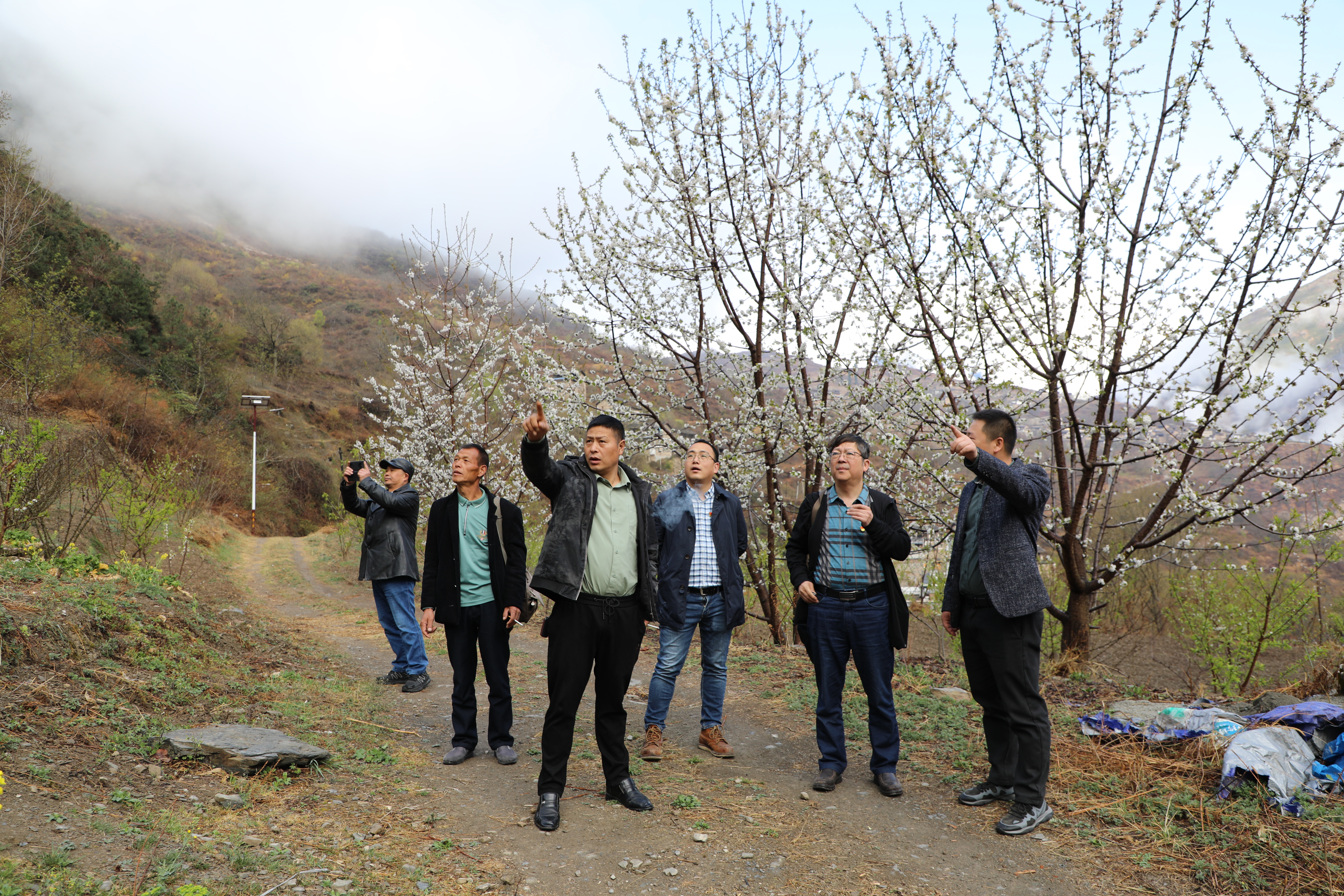 对口帮扶暖人心，多措并举助振兴(图5)