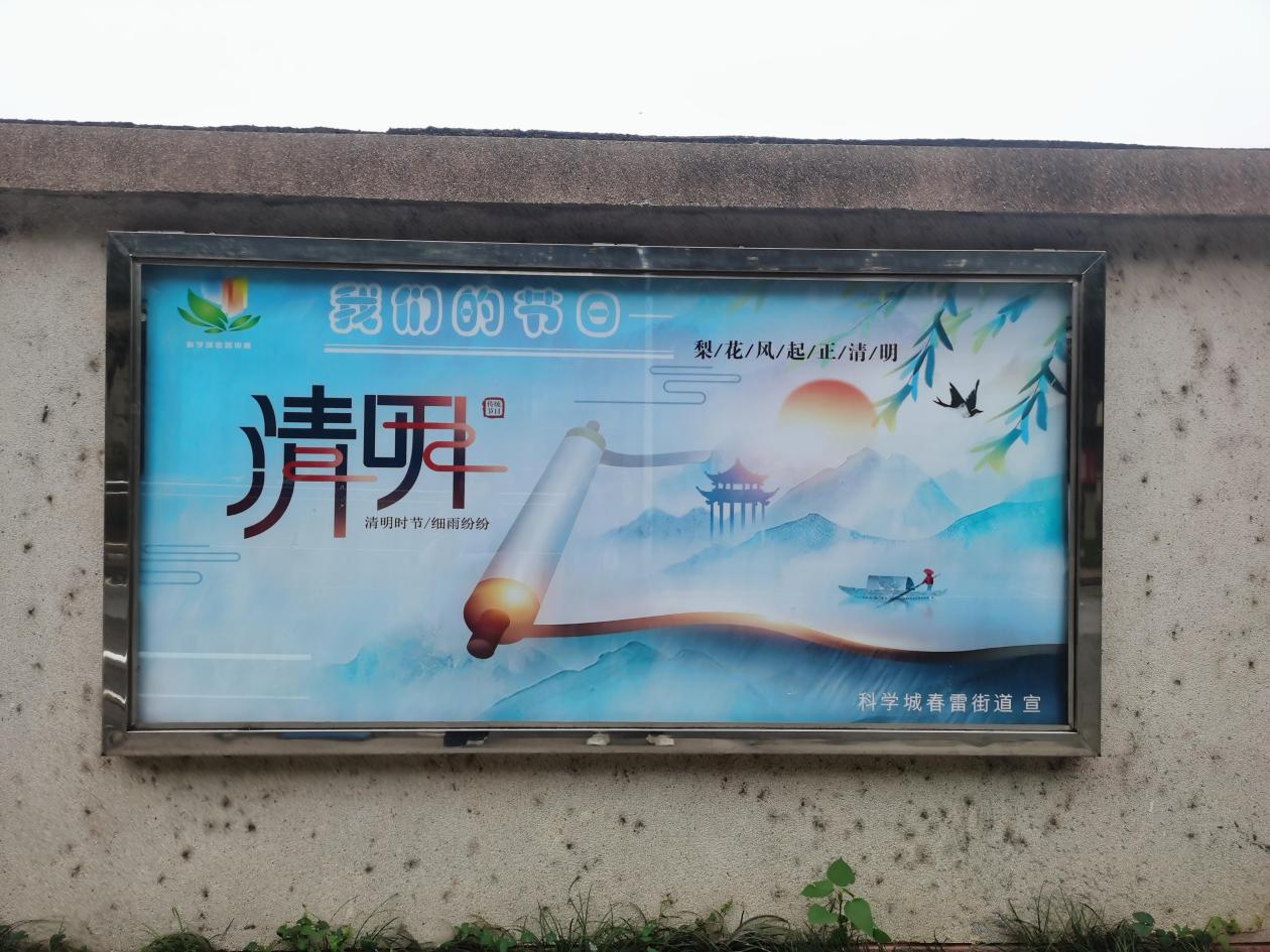 春雷街道工作动态 （我们的节日－清明节专刊—2022年第十二期）(图7)