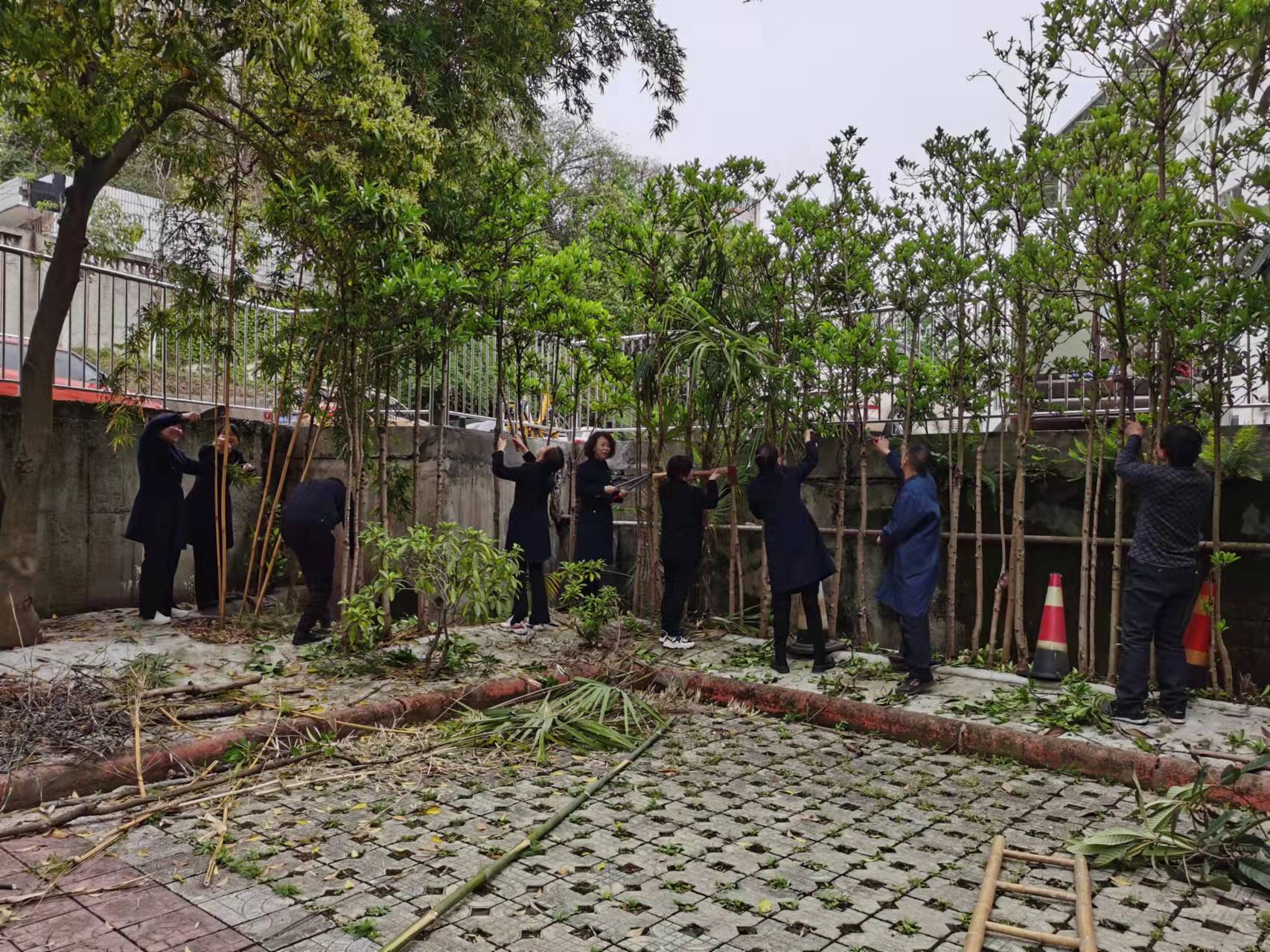 开展绿色抚育，消除安全隐患(图1)