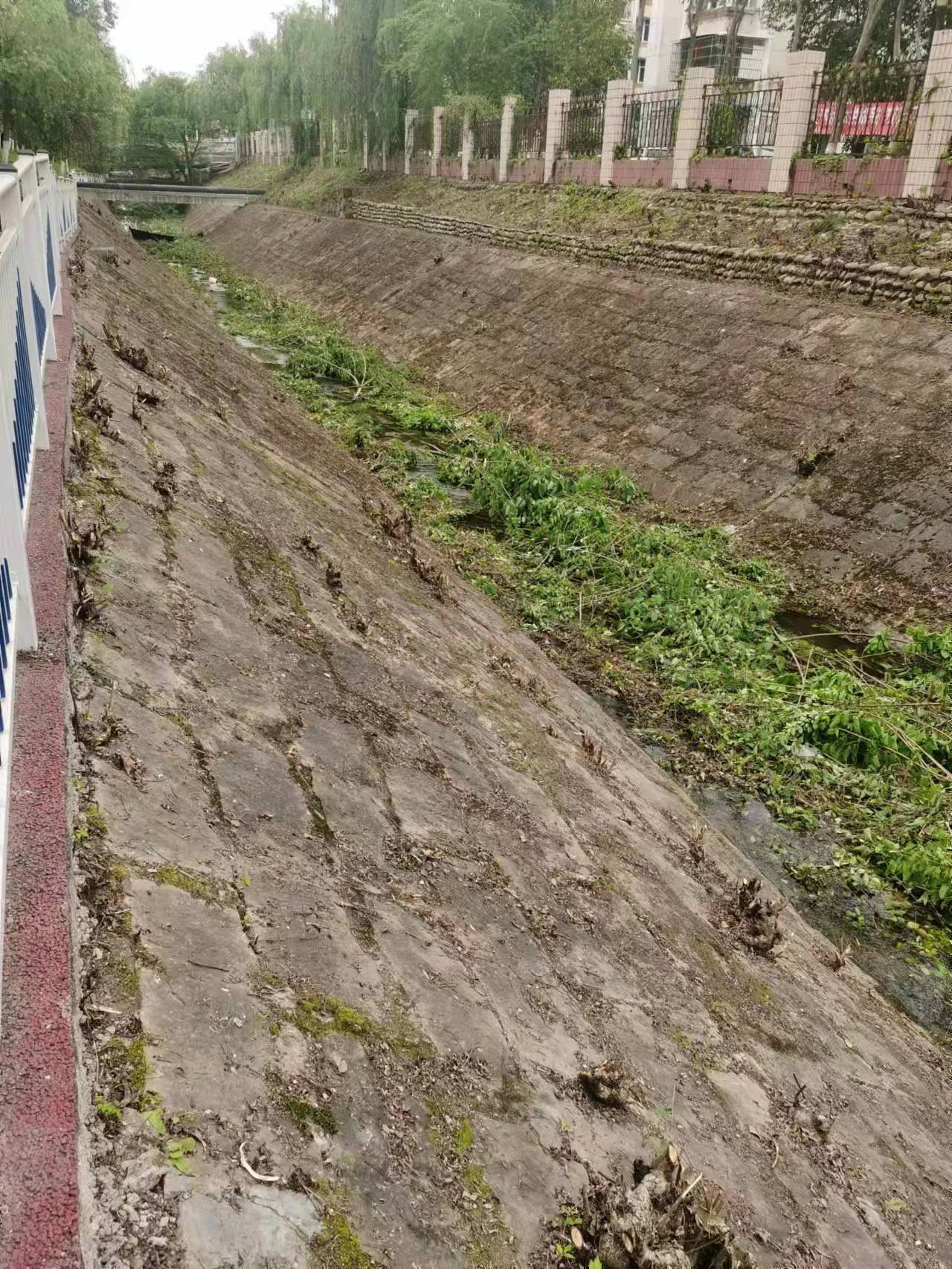 科学城申家沟杜家沟河道清理项目全面启动(图9)