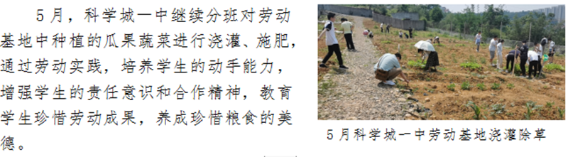 科学城未成年人思想道德建设及德育简报（第五期）(图6)