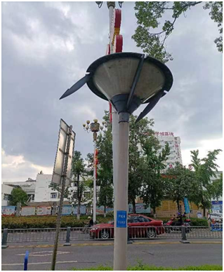 真抓实干 合力共为(图10)
