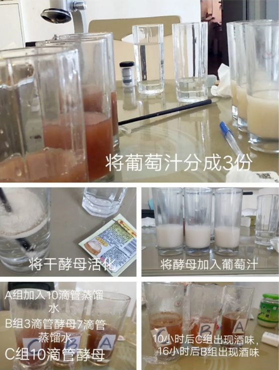 这个暑假我们知行合一，敬探索无境和勇气——高23届生物探究作业展示(图3)