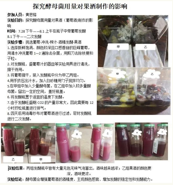 这个暑假我们知行合一，敬探索无境和勇气——高23届生物探究作业展示(图8)