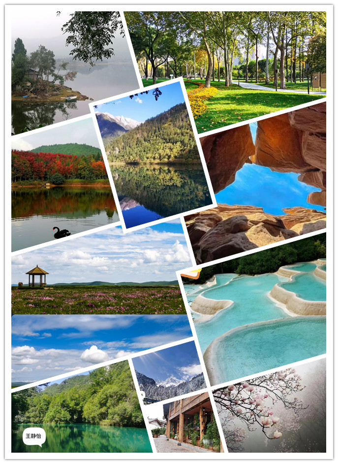 美!见证青山定不负人(图1) 美!见证青山定不负人(图1)