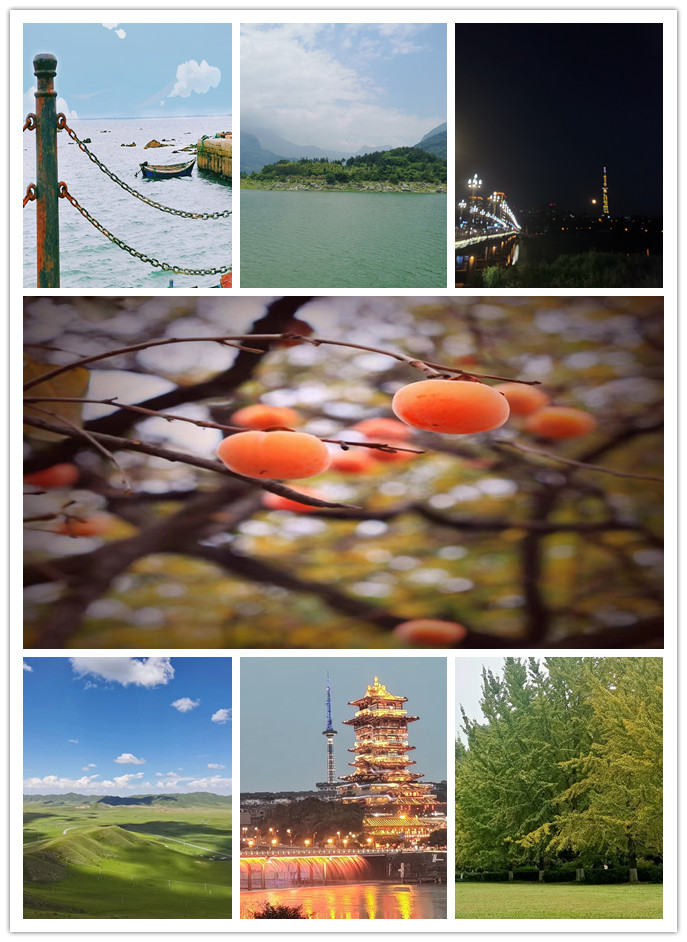 美!见证青山定不负人(图2) 美!见证青山定不负人(图2)