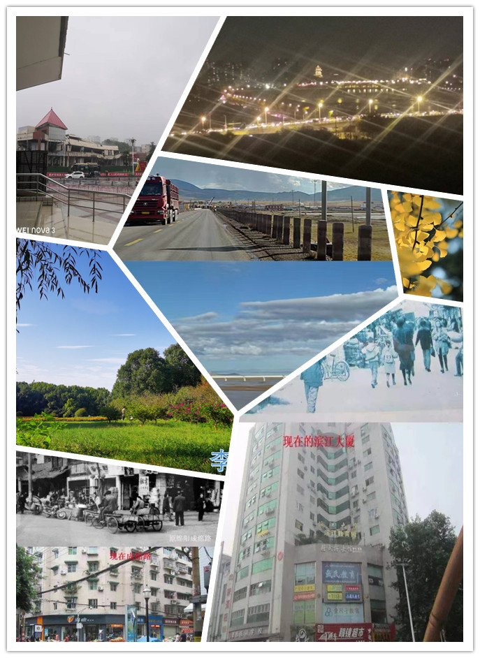 美!见证青山定不负人(图3) 美!见证青山定不负人(图3)