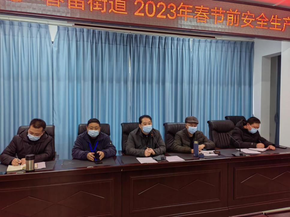 社区中心 春雷街道召开2023年春节前安全生产会(图3)