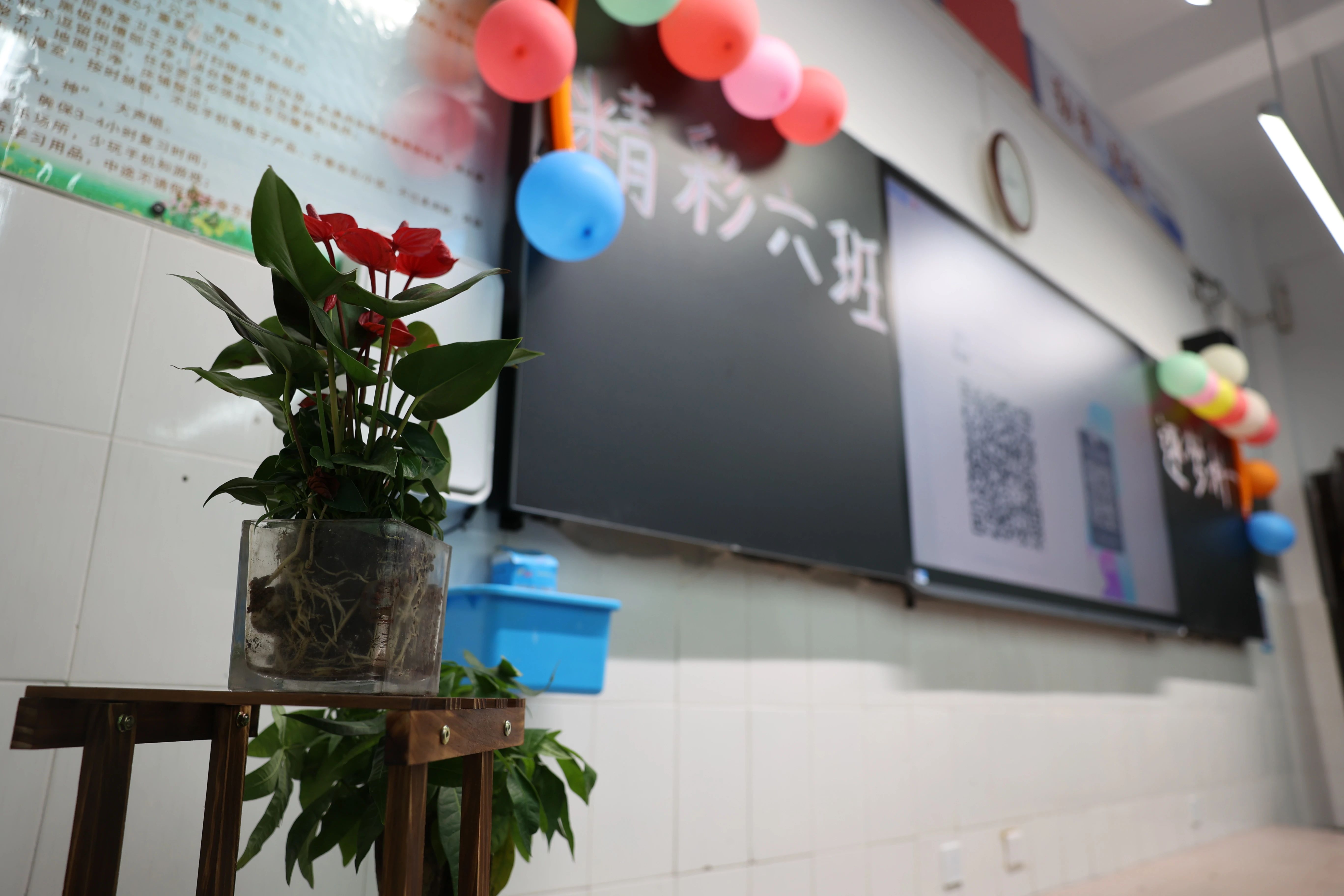 wái？这里是精品内涵学术的科一呀~(图13)