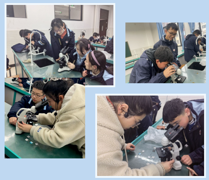 【科一·科技节】学科教室体验，科技引领未来——科技节系列报道（二）(图19)