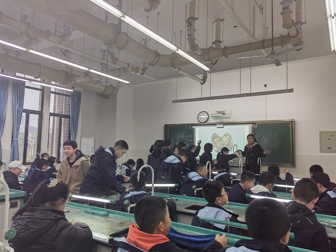 【科一·科技节】学科教室体验，科技引领未来——科技节系列报道（二）(图20)