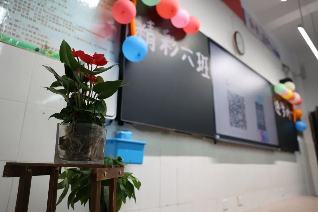 厉害了！15个全市一等奖！(图5)