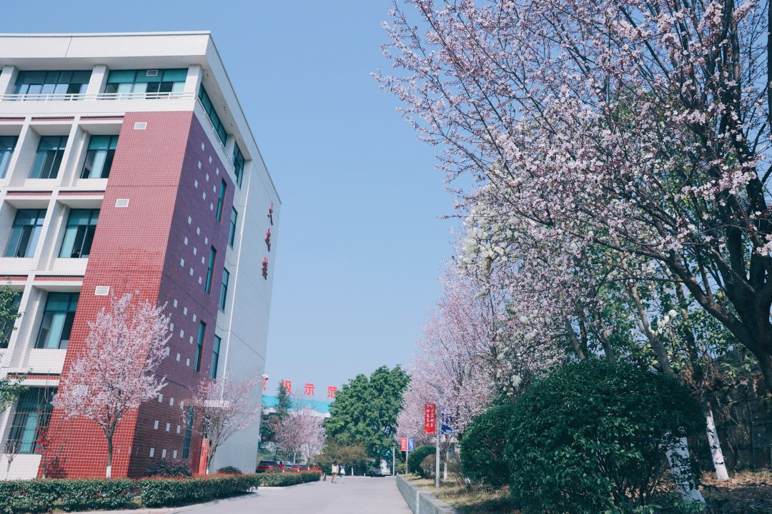 看这一树一树的花开，科一春来，你也来。(图1)