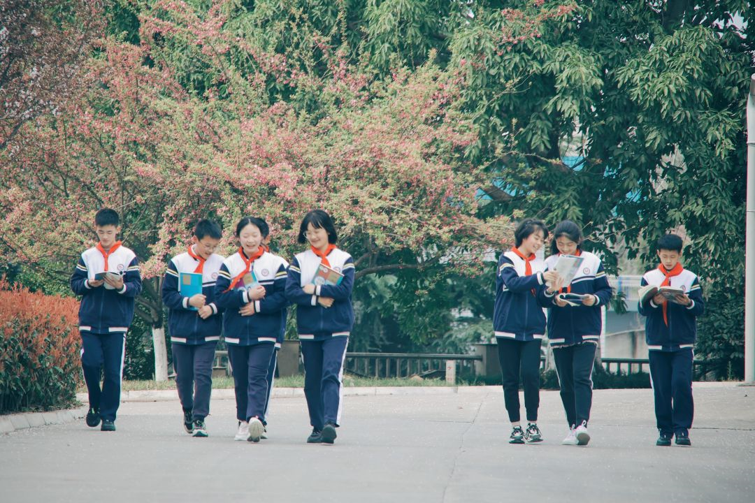 看这一树一树的花开，科一春来，你也来。(图2)