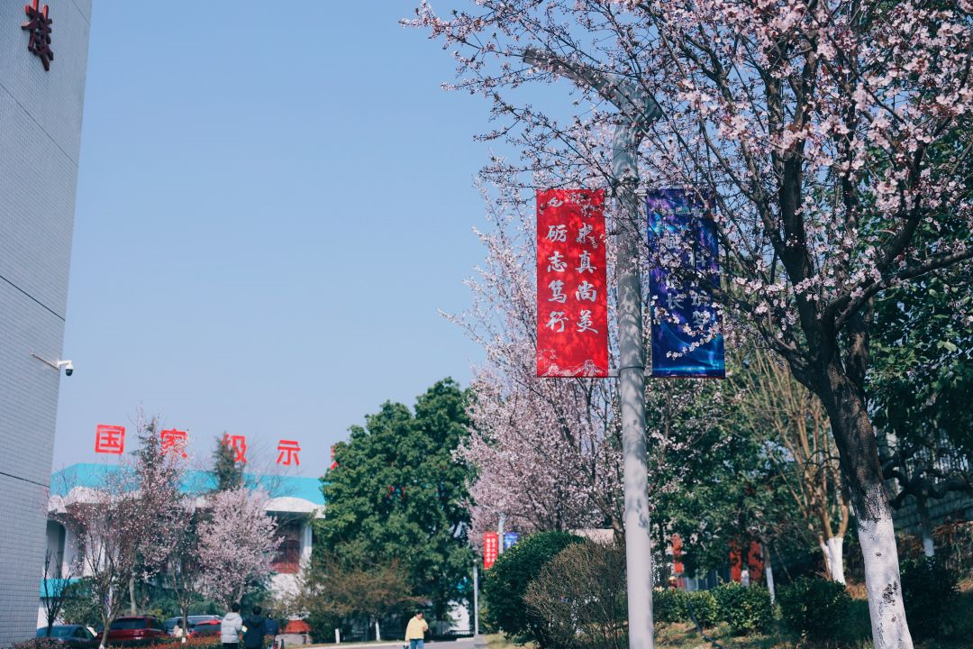 看这一树一树的花开，科一春来，你也来。(图4)