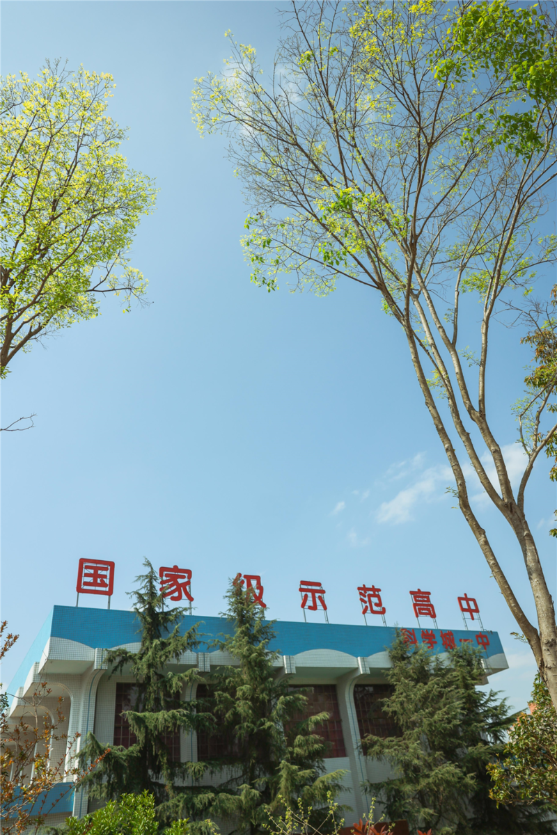 看这一树一树的花开，科一春来，你也来。(图8)