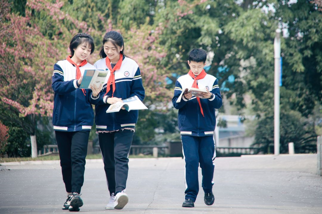 看这一树一树的花开，科一春来，你也来。(图12)