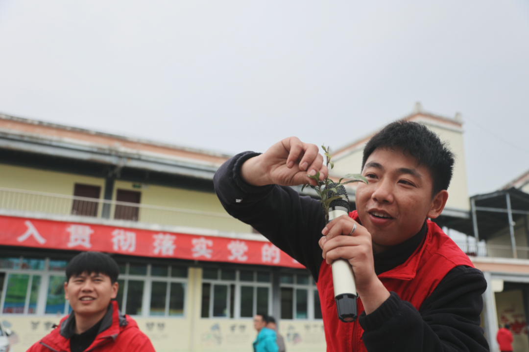 踏青寻春，采茶品茗，悦享劳动，拾趣生活——科学城一中组织教职工2023年春季研学活动(图5)