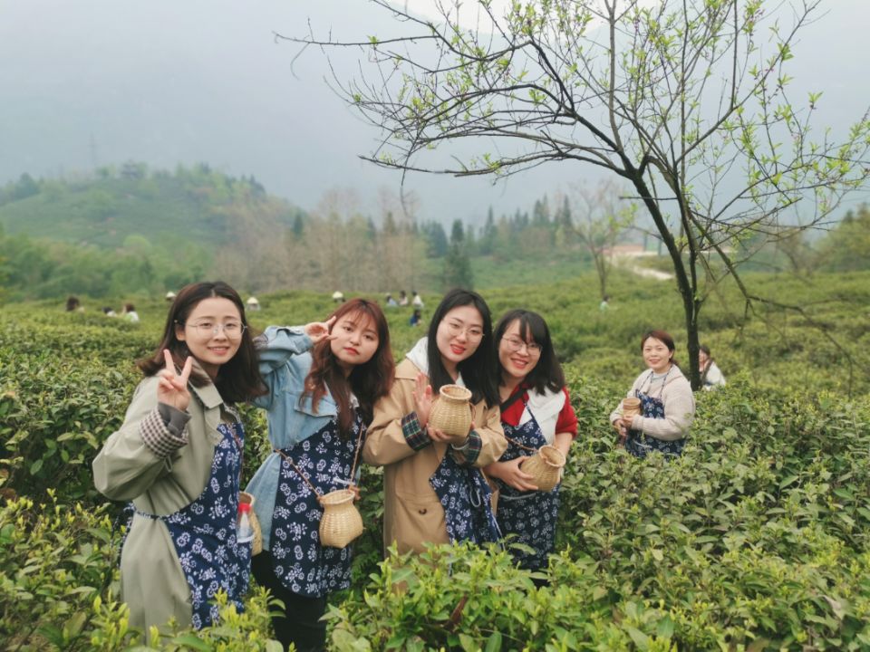 踏青寻春，采茶品茗，悦享劳动，拾趣生活——科学城一中组织教职工2023年春季研学活动(图8)