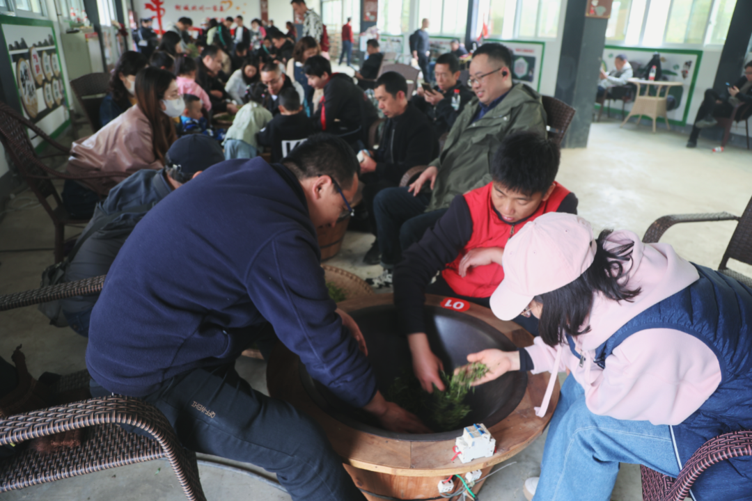 踏青寻春，采茶品茗，悦享劳动，拾趣生活——科学城一中组织教职工2023年春季研学活动(图10)
