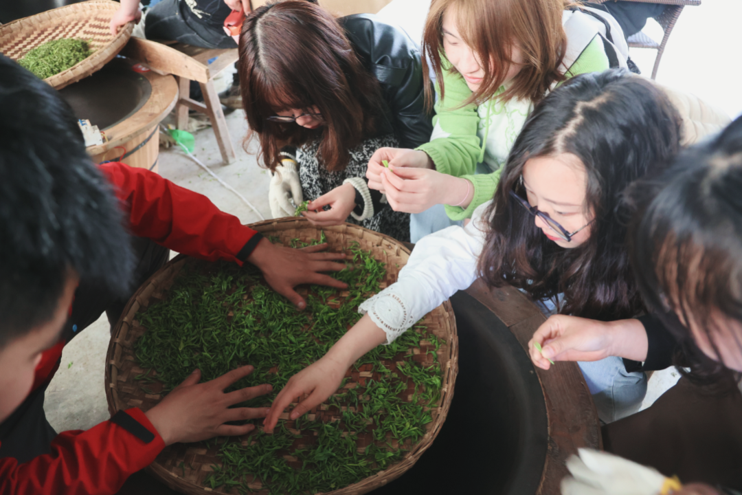 踏青寻春，采茶品茗，悦享劳动，拾趣生活——科学城一中组织教职工2023年春季研学活动(图11)