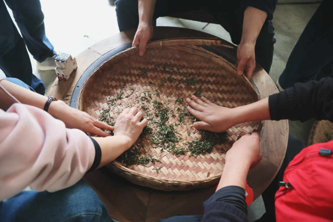 踏青寻春，采茶品茗，悦享劳动，拾趣生活——科学城一中组织教职工2023年春季研学活动(图12)