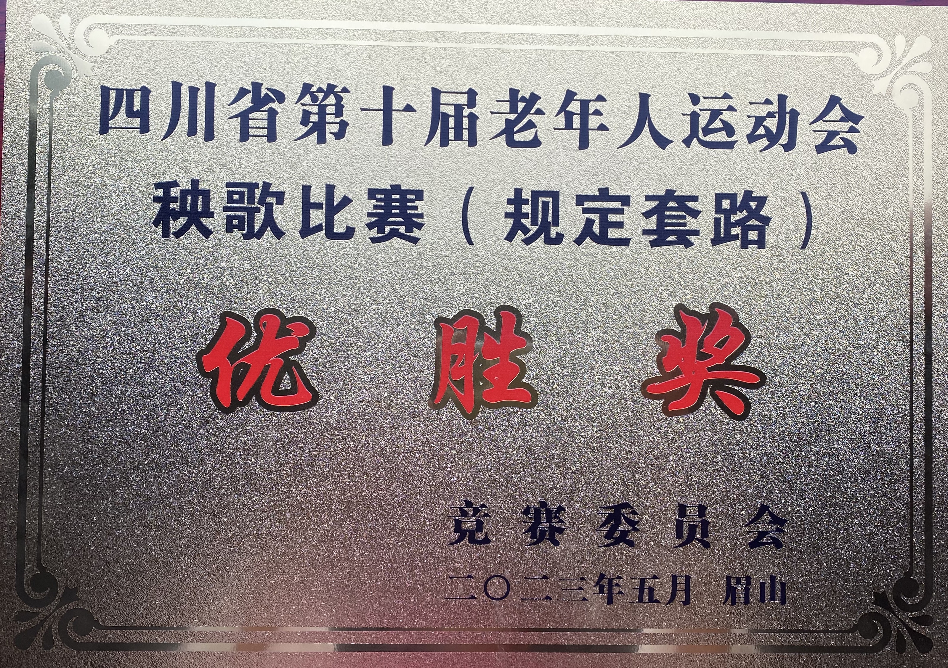 科学城代表队参加四川省第十届老年人运动会健身秧歌比赛喜获佳绩(图5)
