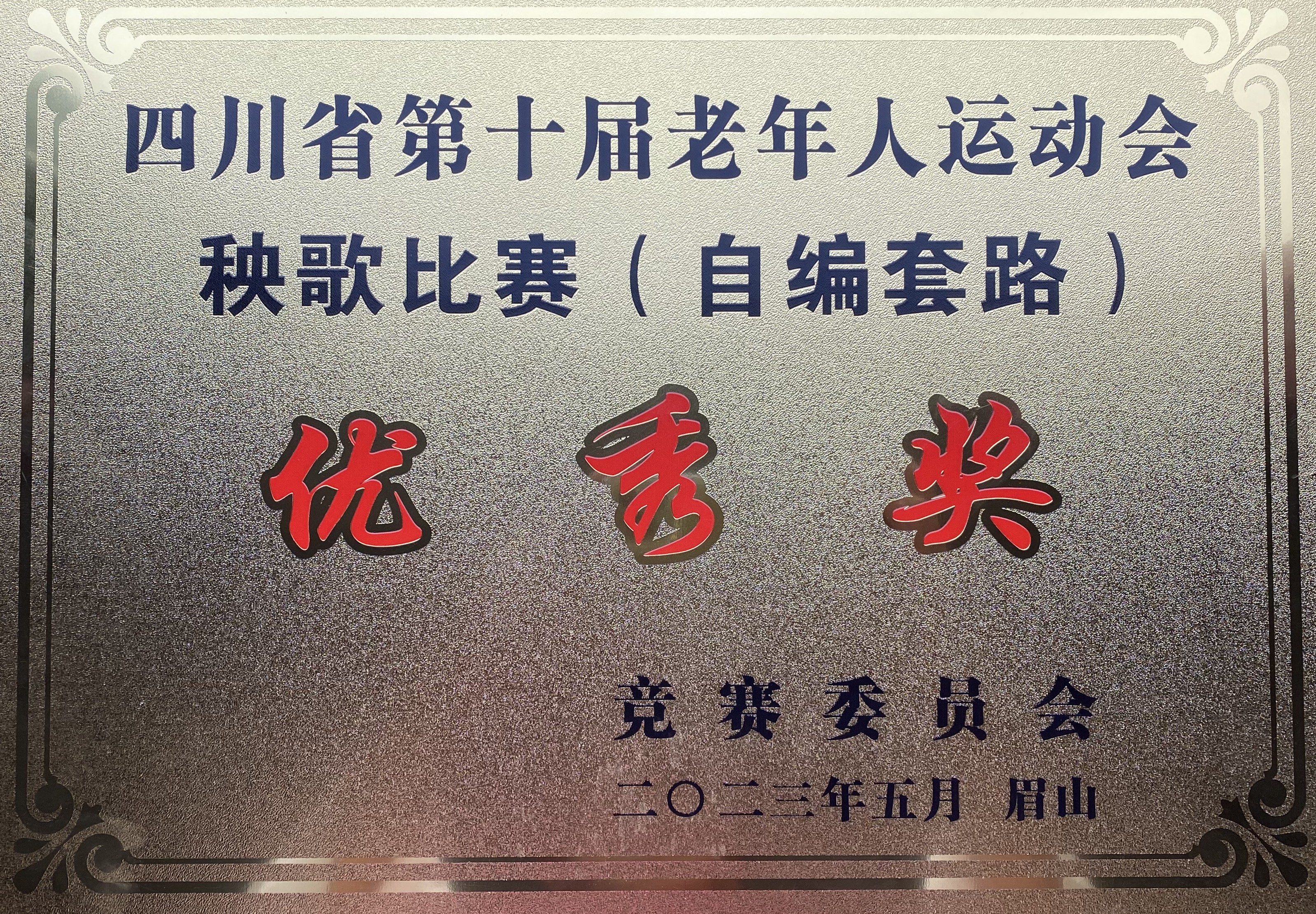 科学城代表队参加四川省第十届老年人运动会健身秧歌比赛喜获佳绩(图6)