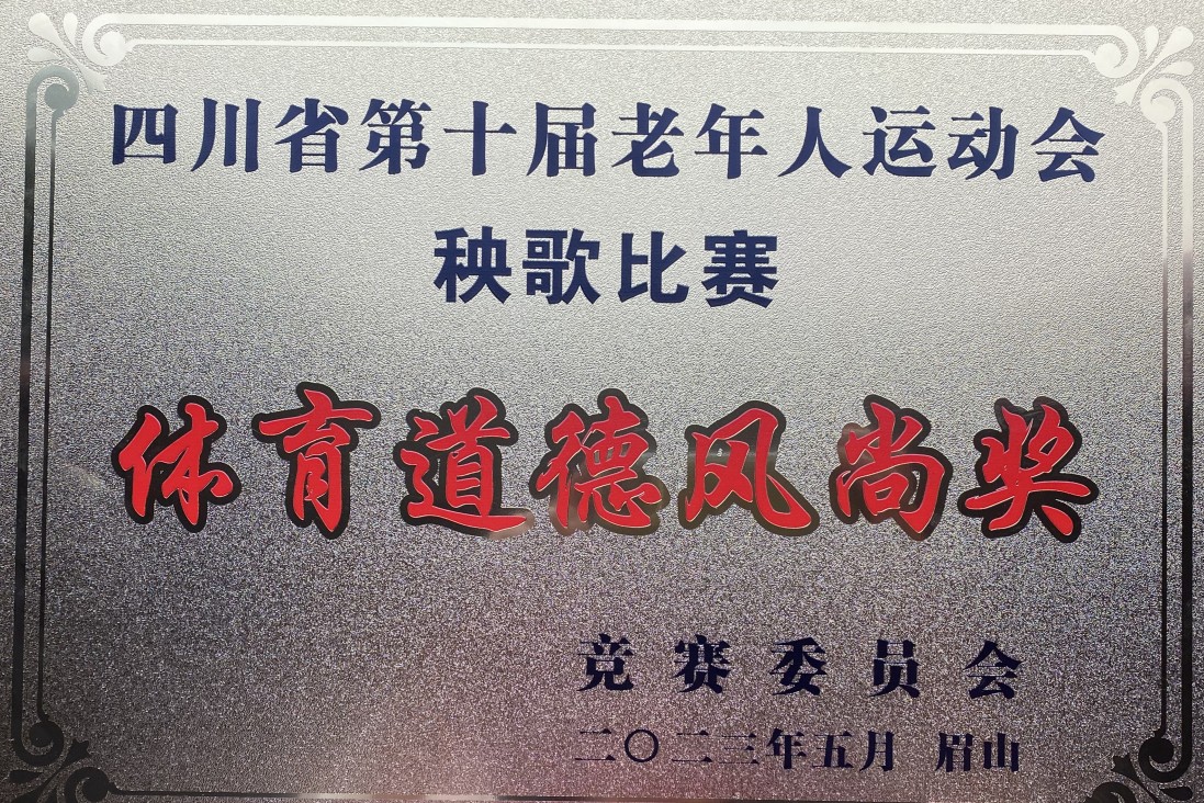 科学城代表队参加四川省第十届老年人运动会健身秧歌比赛喜获佳绩(图7)