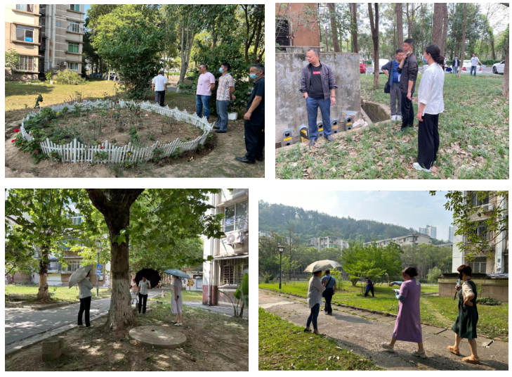 “绿生态”助力社区高质量发展 ——科学城小区管委会开展环境综合提质三年行动专项整治工作(图1) “绿生态”助力社区高质量发展 ——科学城小区管委会开展环境综合提质三年行动专项整治工作(图1)