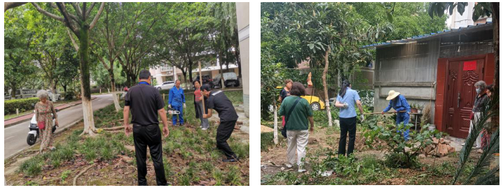 “绿生态”助力社区高质量发展 ——科学城小区管委会开展环境综合提质三年行动专项整治工作(图10) “绿生态”助力社区高质量发展 ——科学城小区管委会开展环境综合提质三年行动专项整治工作(图10)