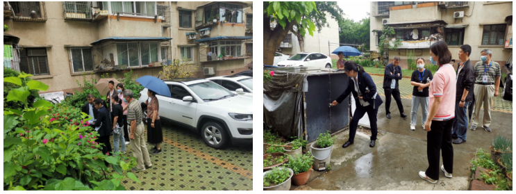 “绿生态”助力社区高质量发展 ——科学城小区管委会开展环境综合提质三年行动专项整治工作(图11) “绿生态”助力社区高质量发展 ——科学城小区管委会开展环境综合提质三年行动专项整治工作(图11)