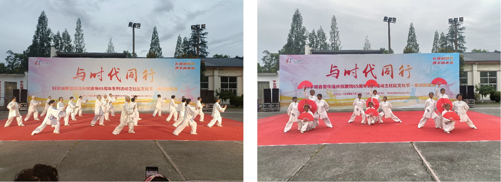 与时代同行——春雷街道庆祝建院65周年系列活动之社区文化节拳剑扇展演(图4)