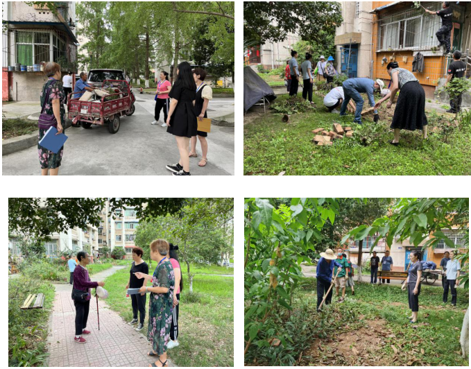 春雷街道开展环境综合提质三年行动专项整治检查(图2)