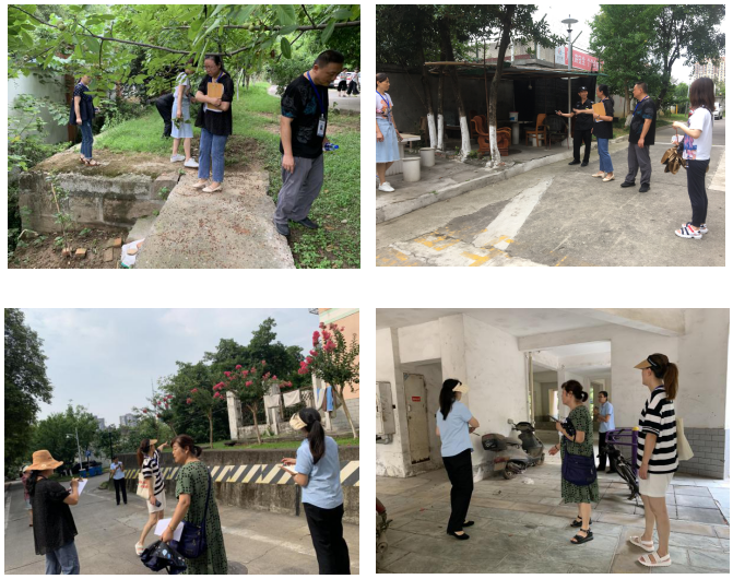 春雷街道开展环境综合提质三年行动专项整治检查(图3)