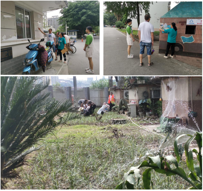 春雷街道开展环境综合提质三年行动专项整治检查(图4)