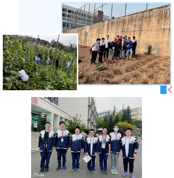 喜报!我校少先中队荣获“全国红领巾中队”称号！(图9)