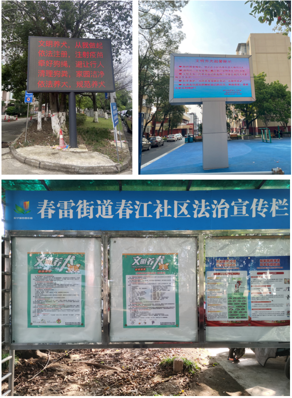 春雷街道开展社区文明养犬宣传活动(图3) 春雷街道开展社区文明养犬宣传活动(图3)