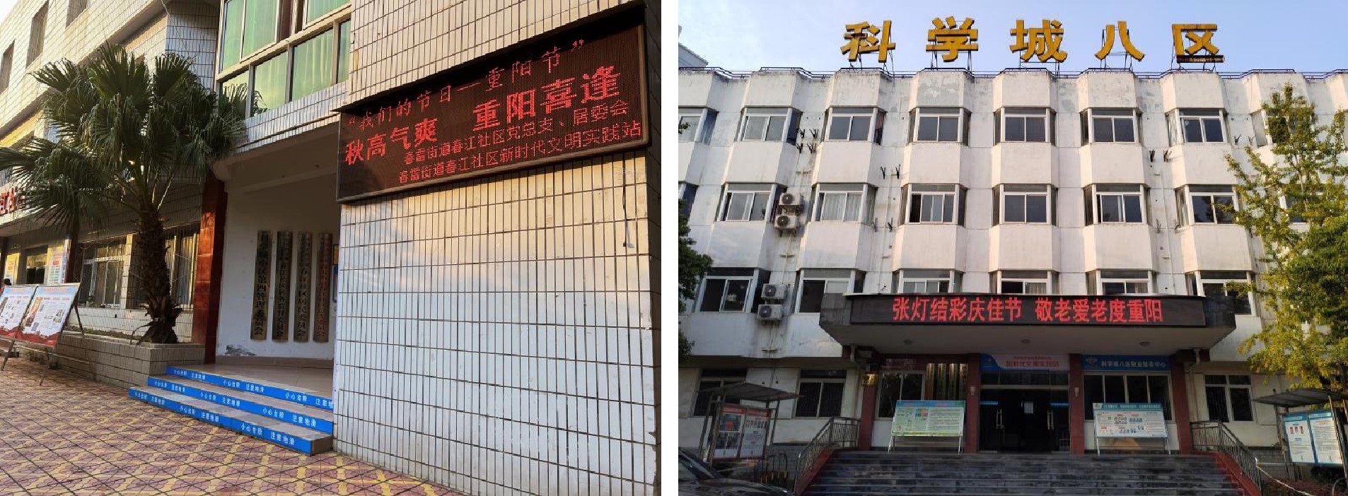 春雷街道新时代文明实践所 开展我们的节日·重阳节主题活动(图9) 春雷街道新时代文明实践所 开展我们的节日·重阳节主题活动(图9)