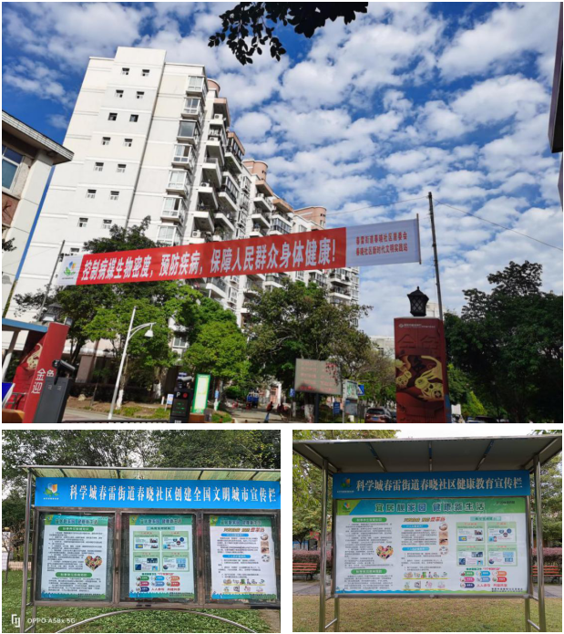 春雷街道开展病媒生物防制宣传活动(图3) 春雷街道开展病媒生物防制宣传活动(图3)