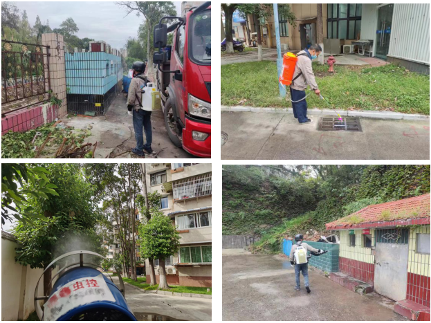 春雷街道开展病媒生物防制宣传活动(图5) 春雷街道开展病媒生物防制宣传活动(图5)