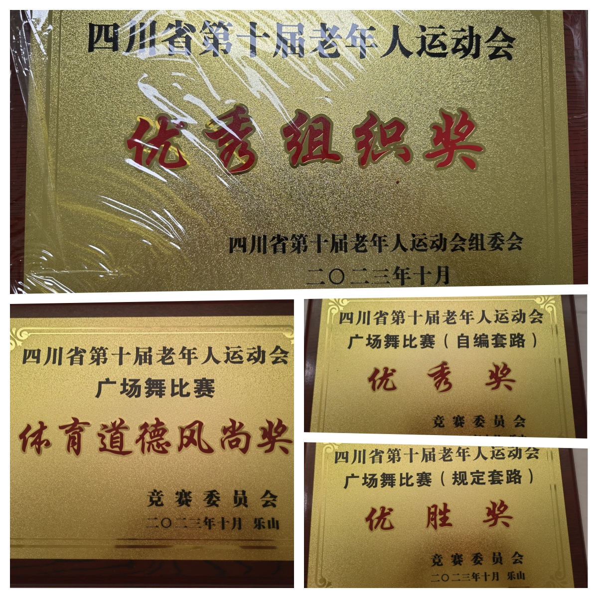 科学城代表队参加四川省第十届老年人广场舞比赛再获佳绩(图4)