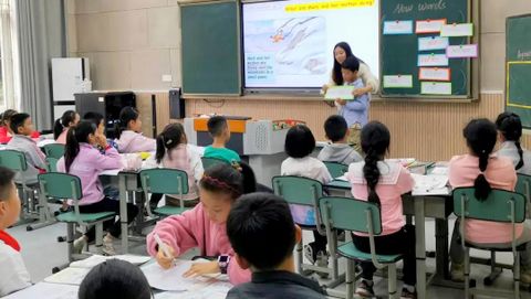 春蕾学校英语跨学科主题教研活动(图3)