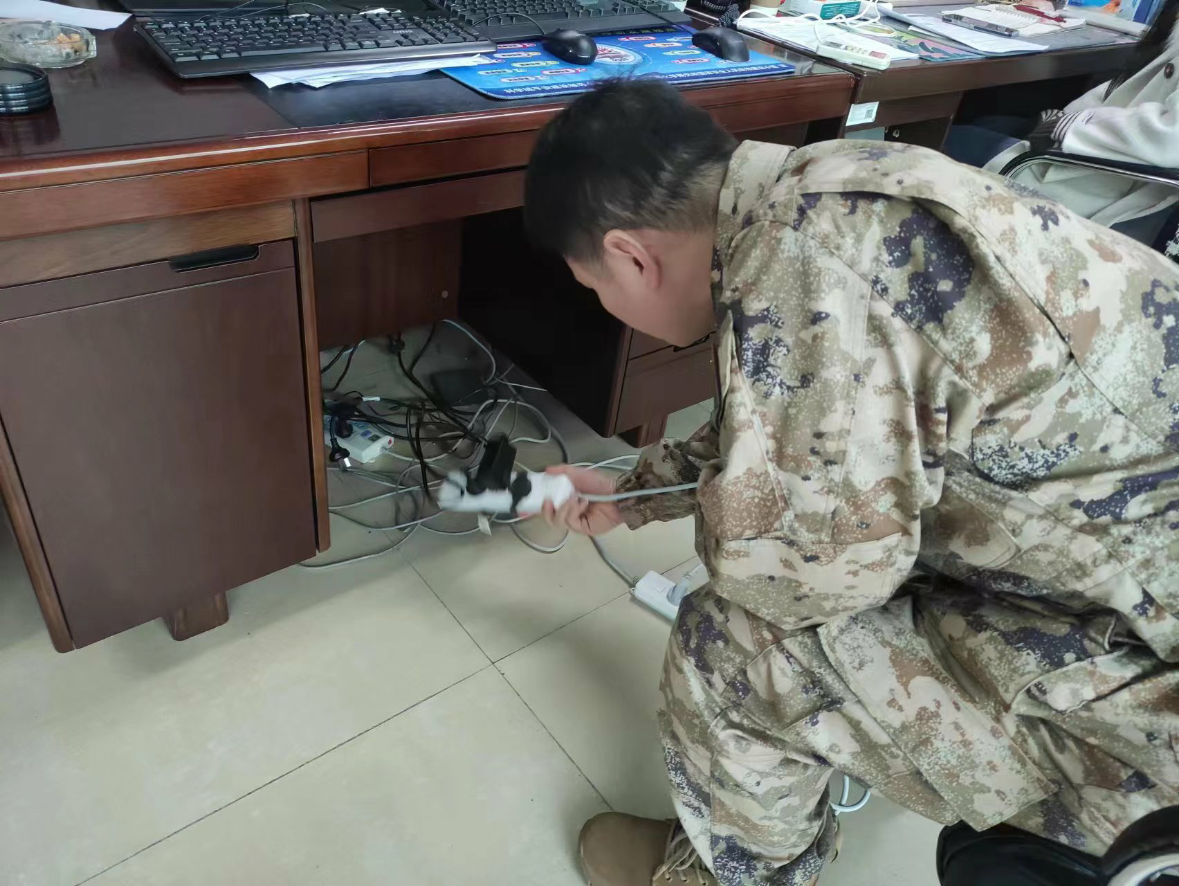 政法与武装部强化安全生产管理 深入推进“百日安全无事故”活动(图5) 479_1707113026_hd.png