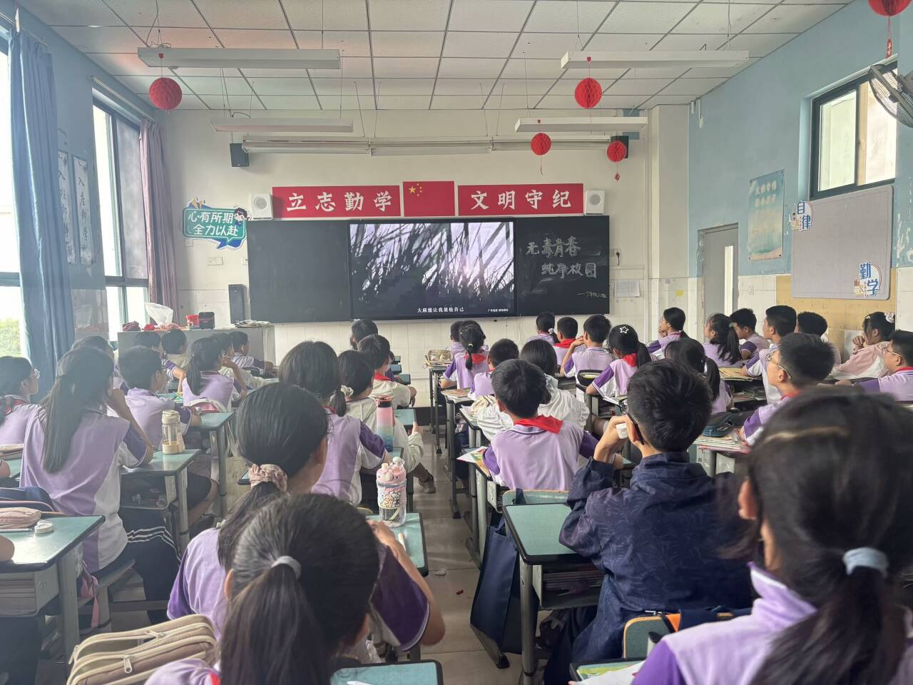 图片19.png
